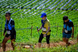 BIB: 1164
                            <button type="button" onclick="openModal(19164653)" class="btn btn-primary btn-sm float-right btn-popup" data-toggle="modal" data-target=".modal-high-quality">
                        <i class="fas fa-shopping-cart"></i> Add to Cart
                    </button>
                                            <button type="button" onclick="isThisMe(19164653, true)" class="btn btn-success btn-sm float-right btn-popup btn-isme hidden" data-toggle="tooltip" data-placement="bottom" title="นี่คือรูปของคุณใช่ไหม คลิกที่นี่เพื่อเอาเข้าอัลบั้ม">
                        <i class="fas fa-plus"></i> Add to album
                    </button>
                    <button type="button" onclick="isThisMe(19164653, false)" class="btn btn-warning btn-sm float-right btn-popup btn-isnotme hidden">
                        <i class="fas fa-ban"></i> Remove from album
                    </button>